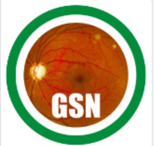 GSN Logo